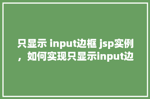 只显示 input边框 jsp实例，如何实现只显示input边框的JSP实例  第1张