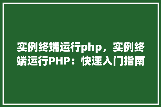 实例终端运行php，实例终端运行PHP：快速入门指南