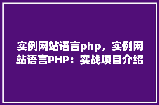 实例网站语言php，实例网站语言PHP：实战项目介绍