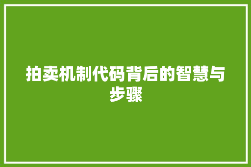 拍卖机制代码背后的智慧与步骤