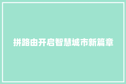 拼路由开启智慧城市新篇章
