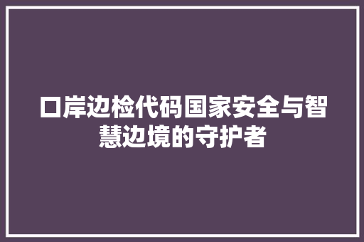 口岸边检代码国家安全与智慧边境的守护者