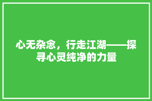 心无杂念，行走江湖——探寻心灵纯净的力量