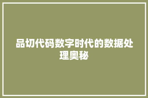 品切代码数字时代的数据处理奥秘