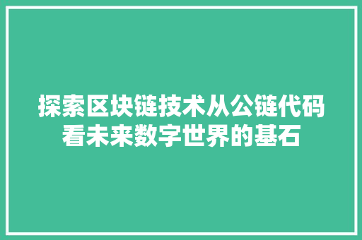 探索区块链技术从公链代码看未来数字世界的基石