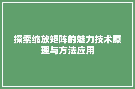 探索缩放矩阵的魅力技术原理与方法应用
