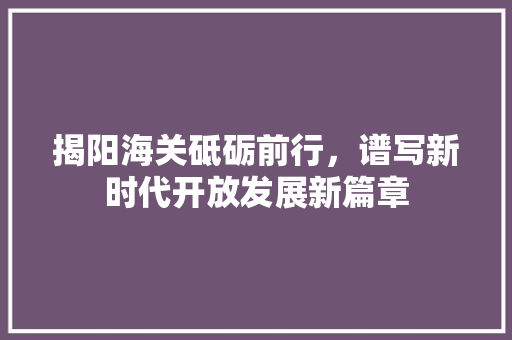 揭阳海关砥砺前行，谱写新时代开放发展新篇章