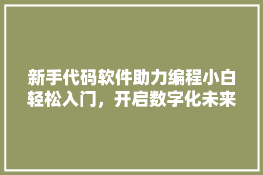 新手代码软件助力编程小白轻松入门，开启数字化未来之旅