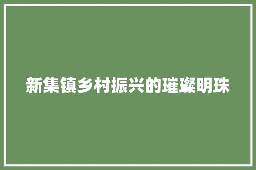 新集镇乡村振兴的璀璨明珠