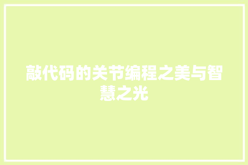 敲代码的关节编程之美与智慧之光
