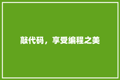 敲代码，享受编程之美
