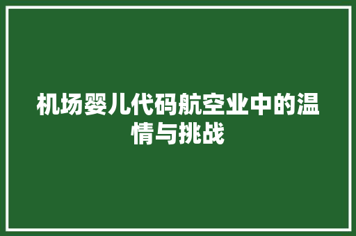 机场婴儿代码航空业中的温情与挑战