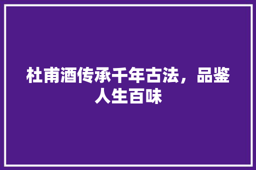 杜甫酒传承千年古法，品鉴人生百味