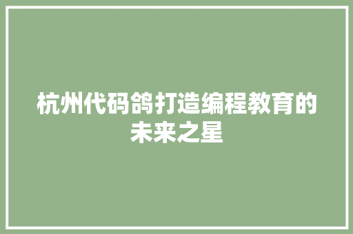 杭州代码鸽打造编程教育的未来之星