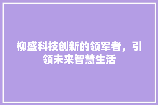 柳盛科技创新的领军者，引领未来智慧生活