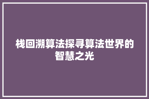 栈回溯算法探寻算法世界的智慧之光
