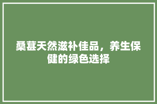 桑葚天然滋补佳品，养生保健的绿色选择