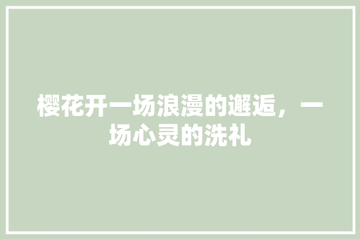 樱花开一场浪漫的邂逅，一场心灵的洗礼