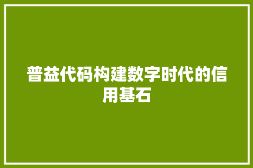 普益代码构建数字时代的信用基石
