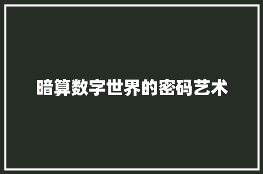 暗算数字世界的密码艺术