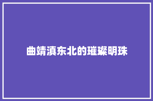 曲靖滇东北的璀璨明珠