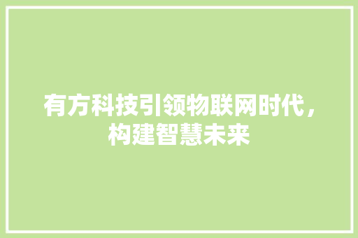 有方科技引领物联网时代，构建智慧未来