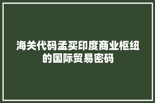 海关代码孟买印度商业枢纽的国际贸易密码