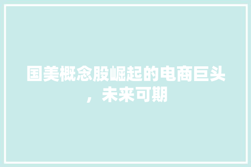 国美概念股崛起的电商巨头，未来可期