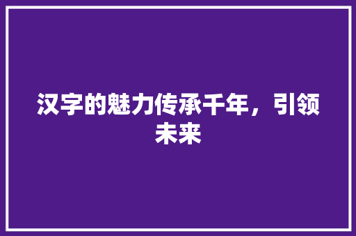 汉字的魅力传承千年，引领未来