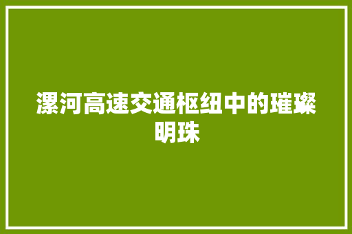 漯河高速交通枢纽中的璀璨明珠