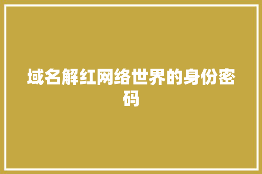 域名解红网络世界的身份密码