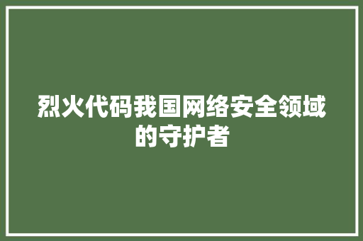 烈火代码我国网络安全领域的守护者