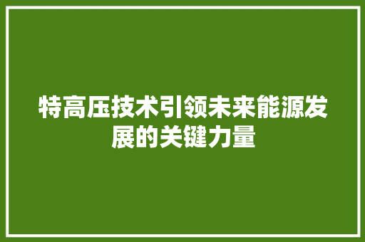 特高压技术引领未来能源发展的关键力量