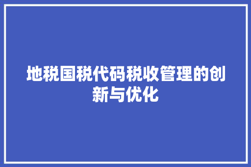 地税国税代码税收管理的创新与优化