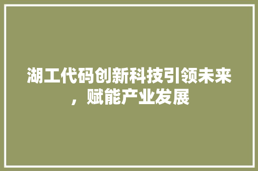 湖工代码创新科技引领未来，赋能产业发展