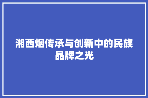 湘西烟传承与创新中的民族品牌之光