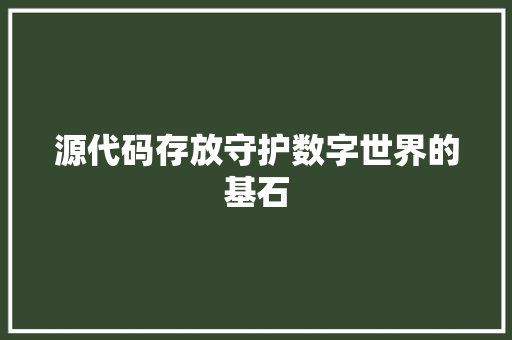 源代码存放守护数字世界的基石