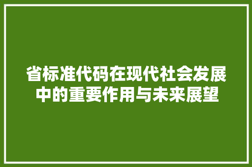 省标准代码在现代社会发展中的重要作用与未来展望