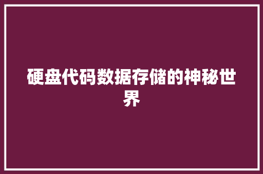 硬盘代码数据存储的神秘世界