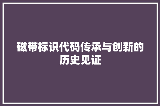 磁带标识代码传承与创新的历史见证
