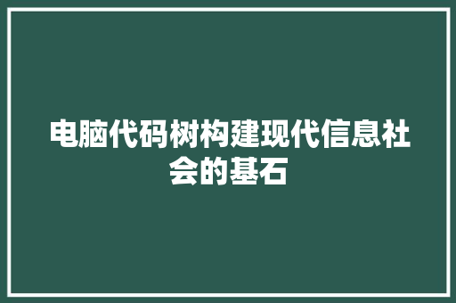 电脑代码树构建现代信息社会的基石
