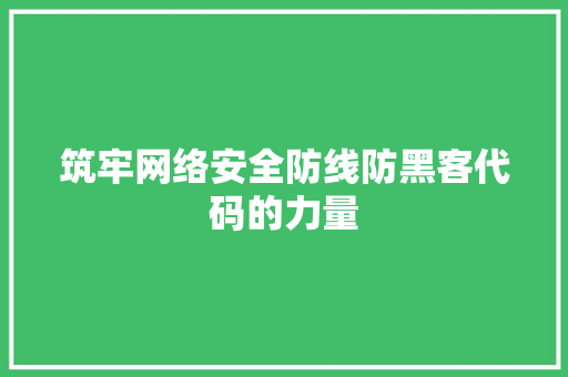 筑牢网络安全防线防黑客代码的力量