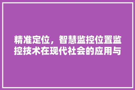 精准定位，智慧监控位置监控技术在现代社会的应用与发展