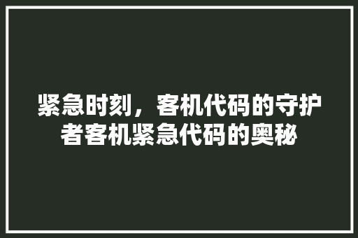 紧急时刻，客机代码的守护者客机紧急代码的奥秘