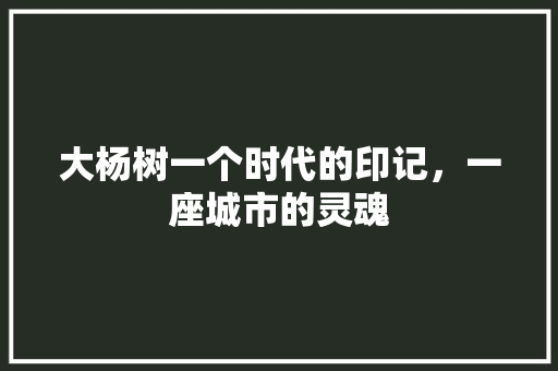 大杨树一个时代的印记，一座城市的灵魂