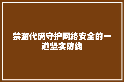 禁溜代码守护网络安全的一道坚实防线