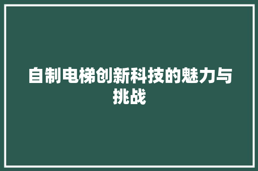 自制电梯创新科技的魅力与挑战
