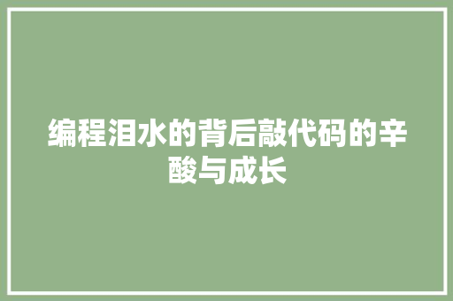 编程泪水的背后敲代码的辛酸与成长