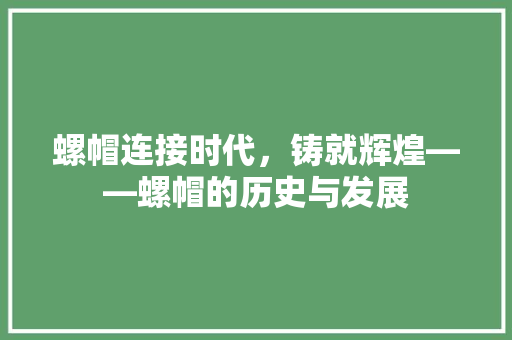 螺帽连接时代，铸就辉煌——螺帽的历史与发展