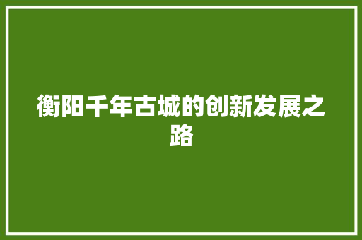 衡阳千年古城的创新发展之路